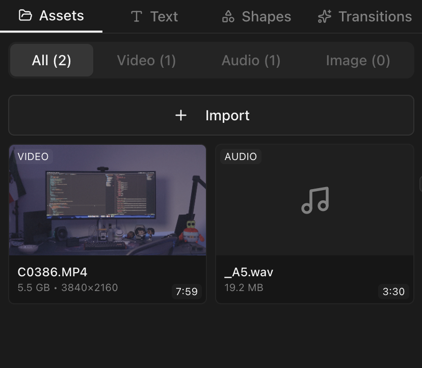 Screenshot: Asset panel with imported files showing thumbnails and metadata